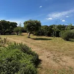 Corse Du Sud 皮诺托里卡尔达雷洛