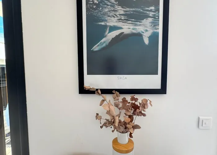 Corse Du Sud ヴィラ *