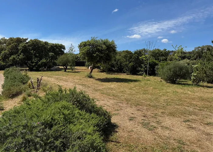 Corse Du Sud ピアノトリ・カルダレロ