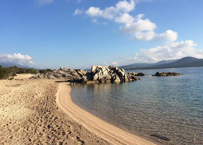 ヴィラ Corse Du Sud *