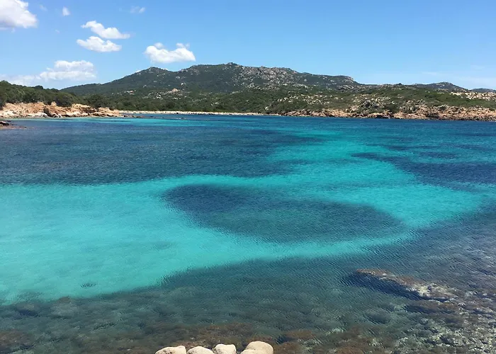 ヴィラ Corse Du Sud