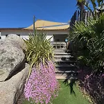 Corse Du Sud * 皮诺托里卡尔达雷洛