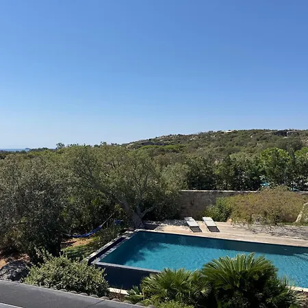فيلة Corse Du Sud