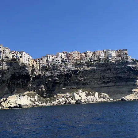 Corse Du Sud فيلة *