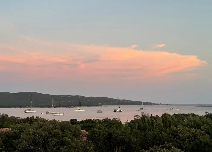 Corse Du Sud *